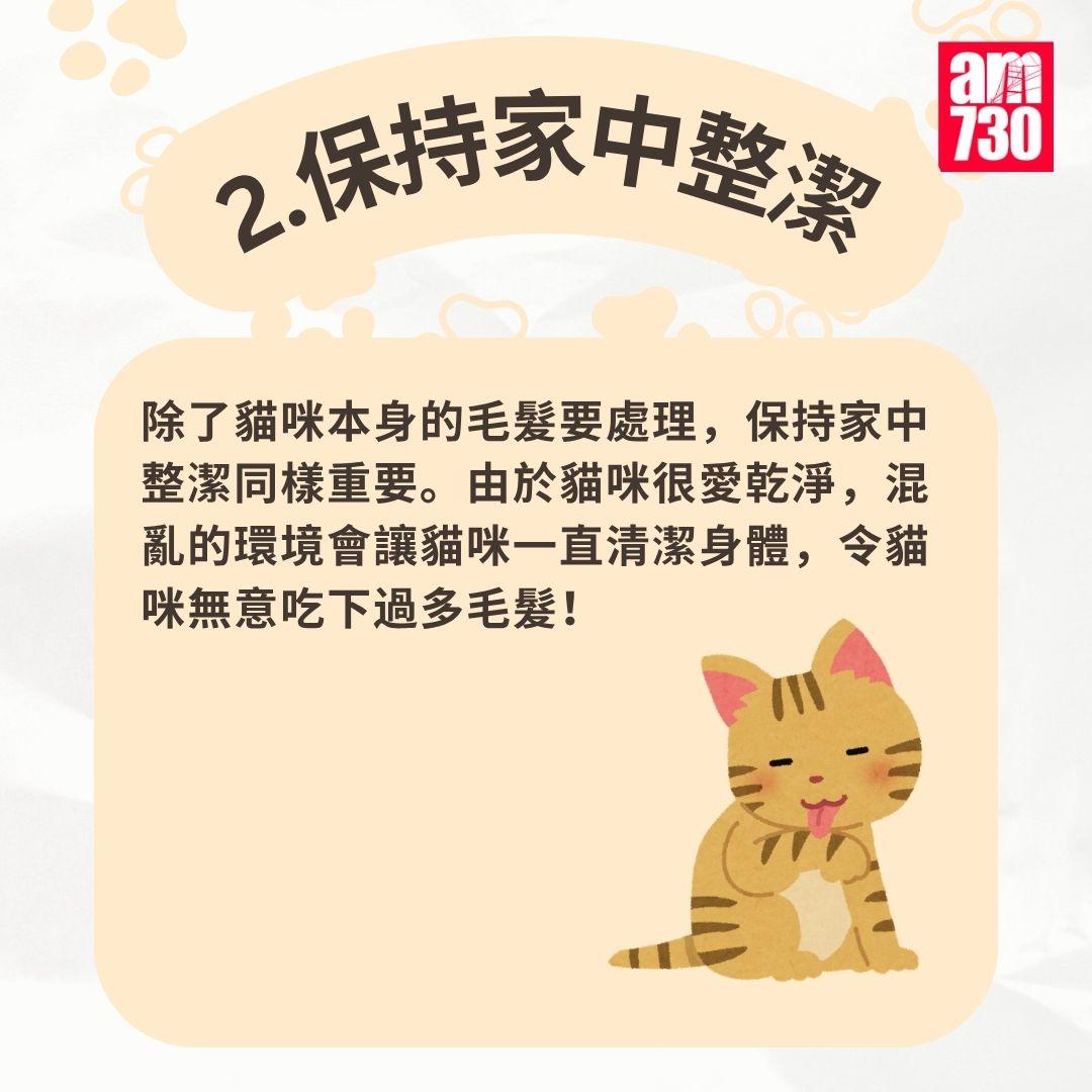 貓咪|7步預防毛球症