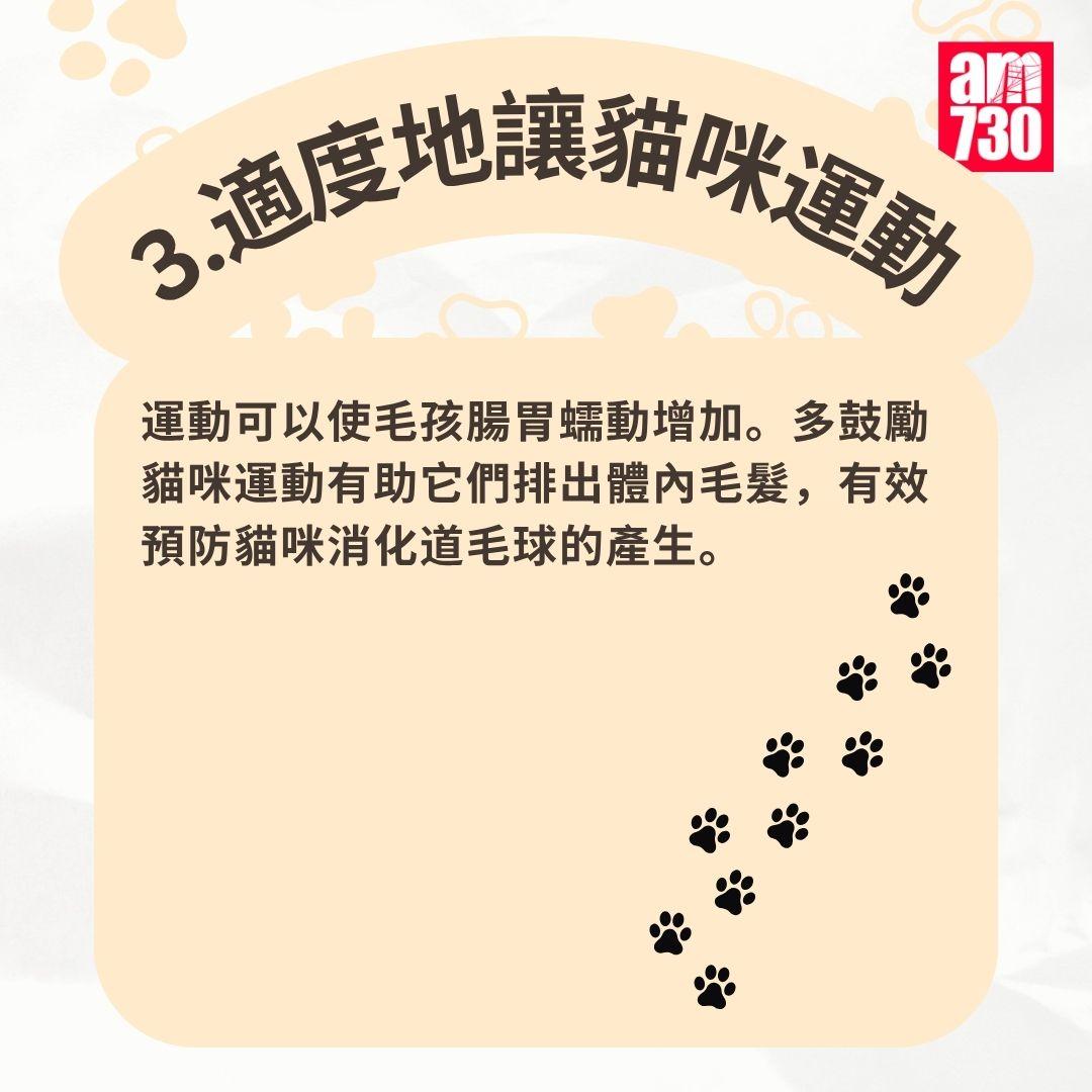貓咪|7步預防毛球症