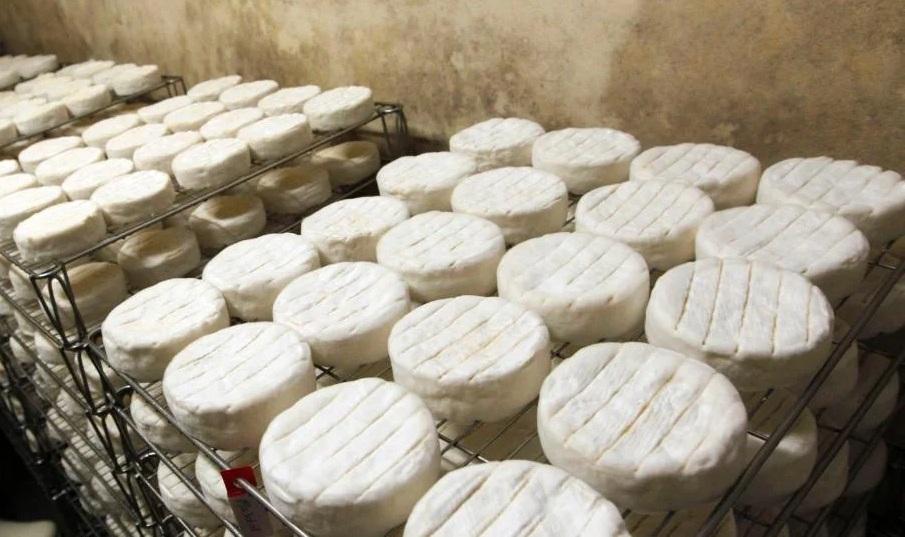 法國21人染李斯特菌2死 召回逾40批芝士國內外有售