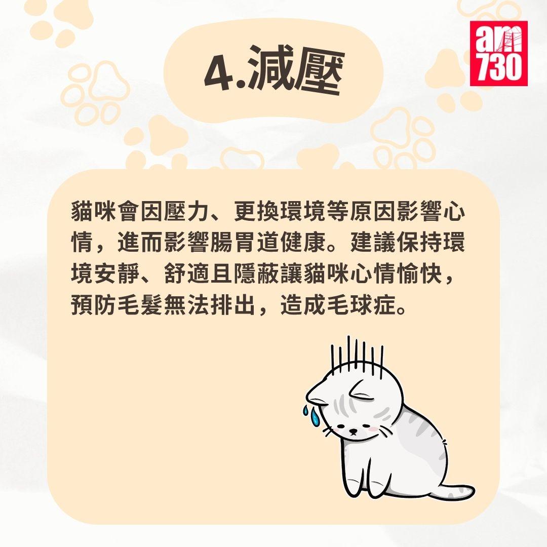 貓咪|7步預防毛球症