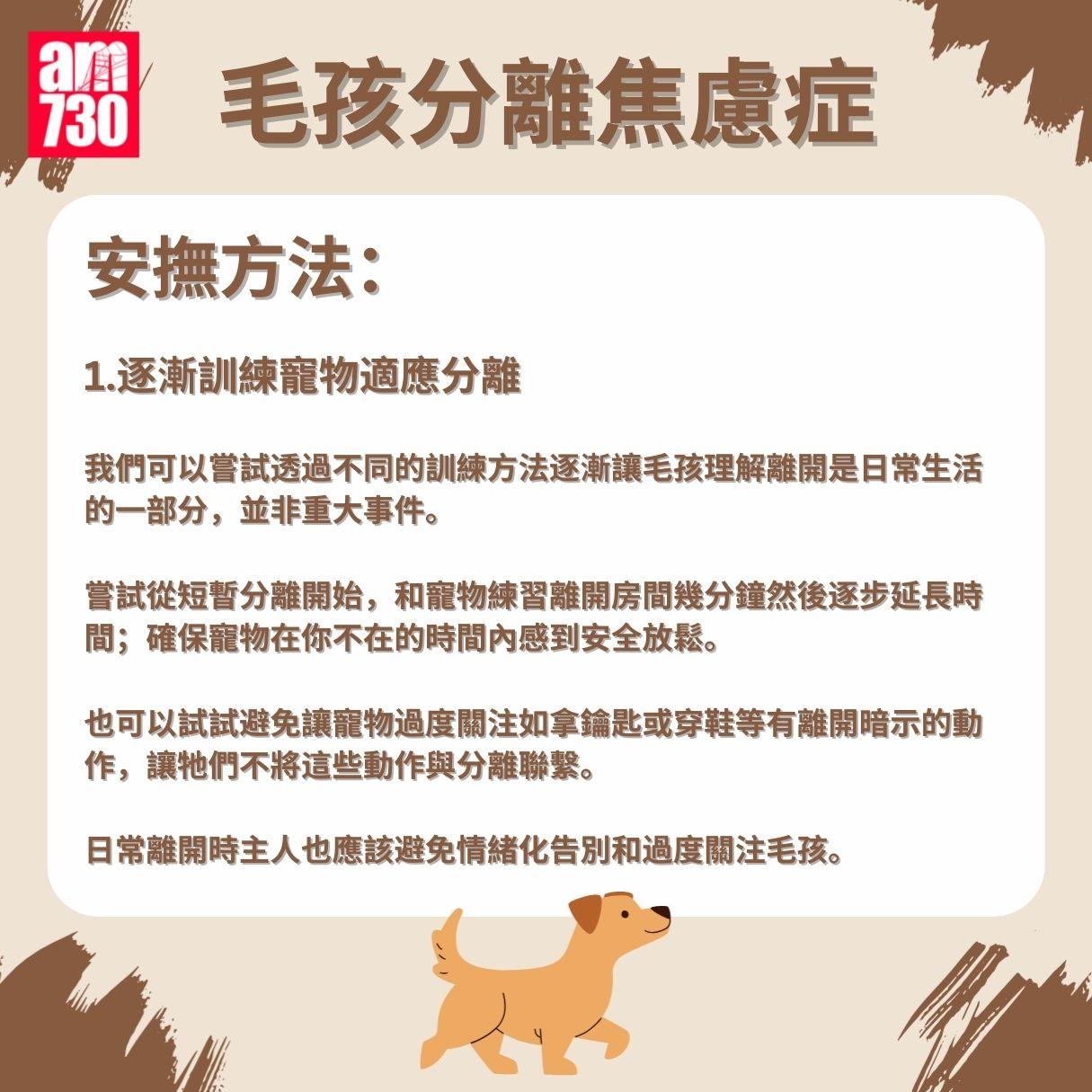 毛孩分離焦慮症成因/症狀/安撫方法懶人包