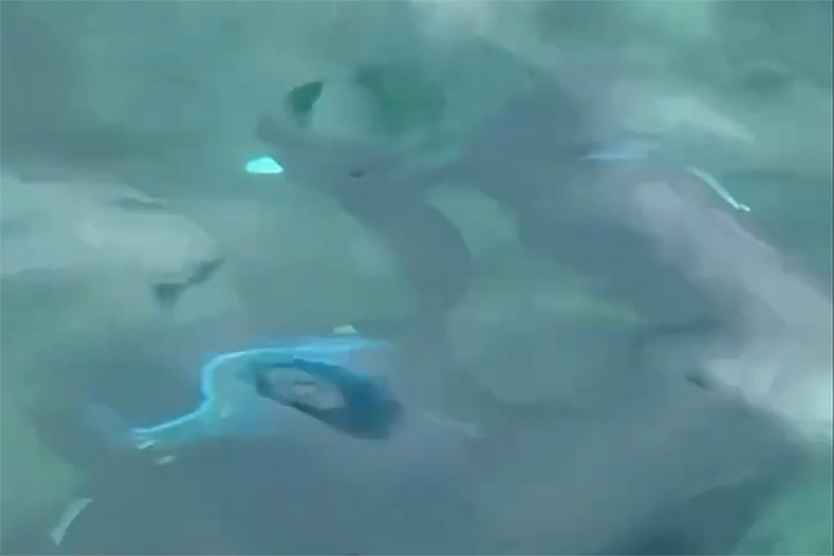 涉事電單車事後沉入海底。(用戶diqi8711@Threads)