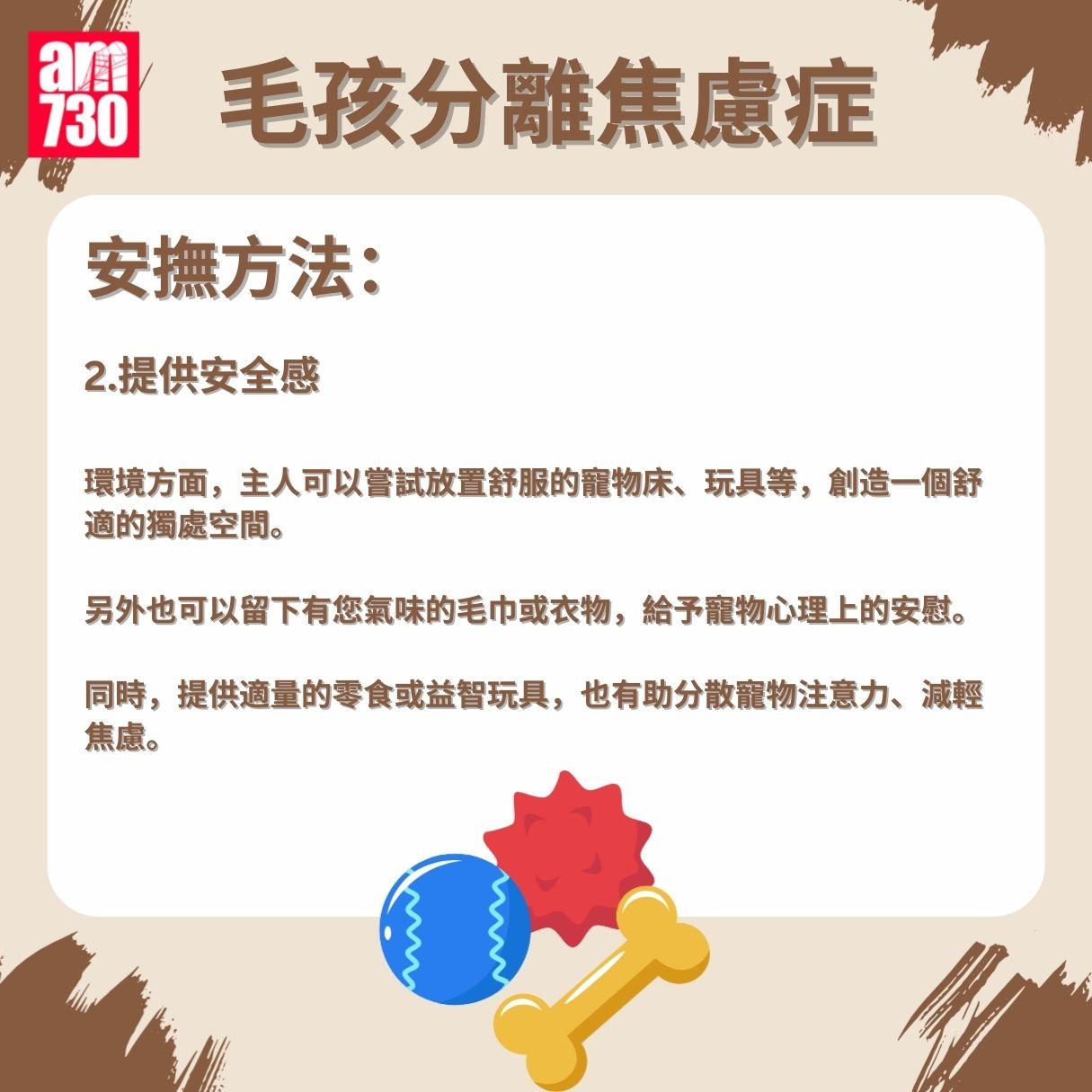 毛孩分離焦慮症成因/症狀/安撫方法懶人包