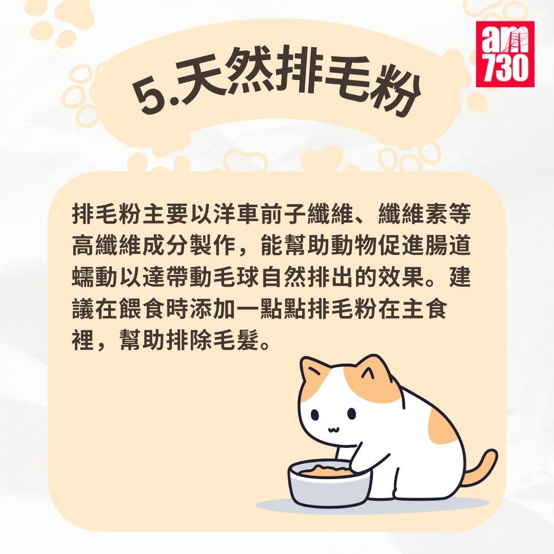 貓咪|7步預防毛球症