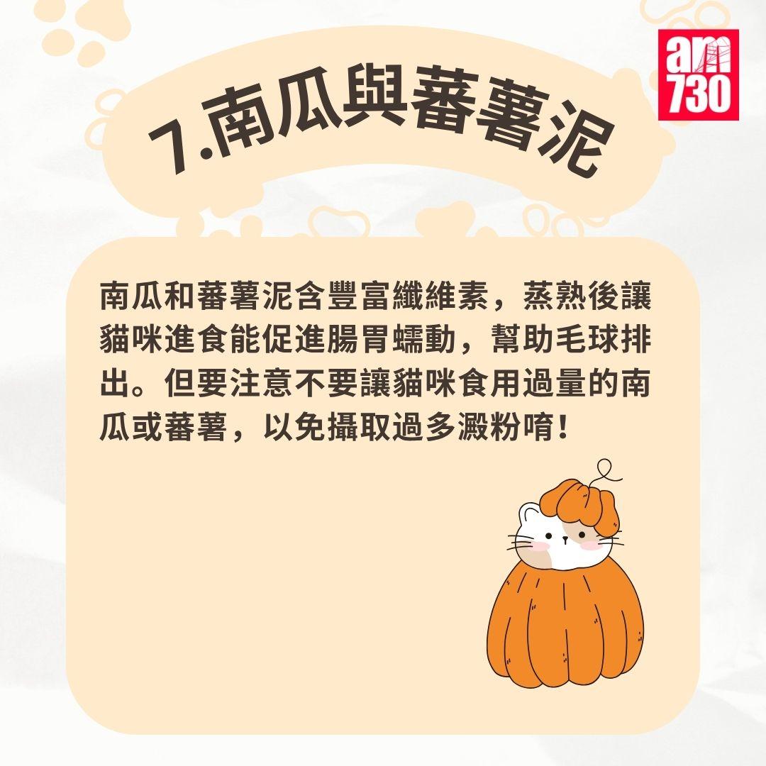 貓咪|7步預防毛球症