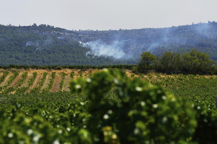 歐洲熱浪|法國衝上43度 意大利4歲童熱死