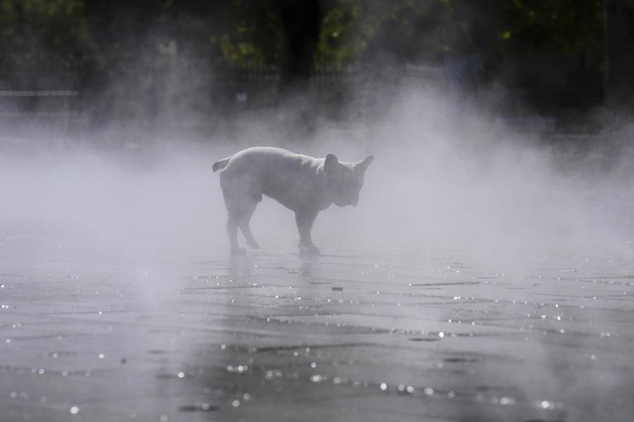 歐洲熱浪|法國衝上43度 意大利4歲童熱死