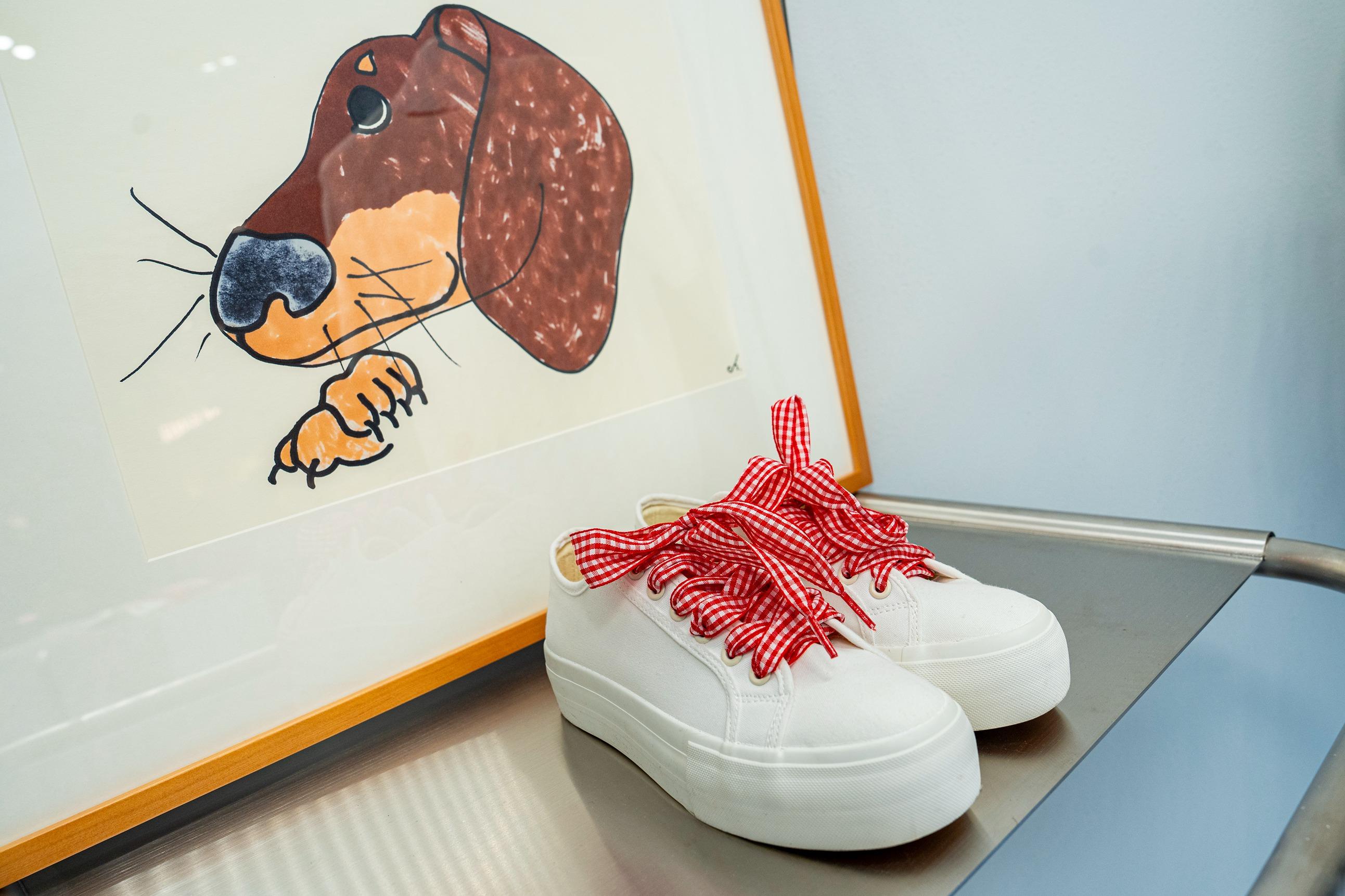 新店特別展出由韓國藝術家Kwon Chul Hwa設計的「 DDANJI 」臘腸狗圖案繪畫。