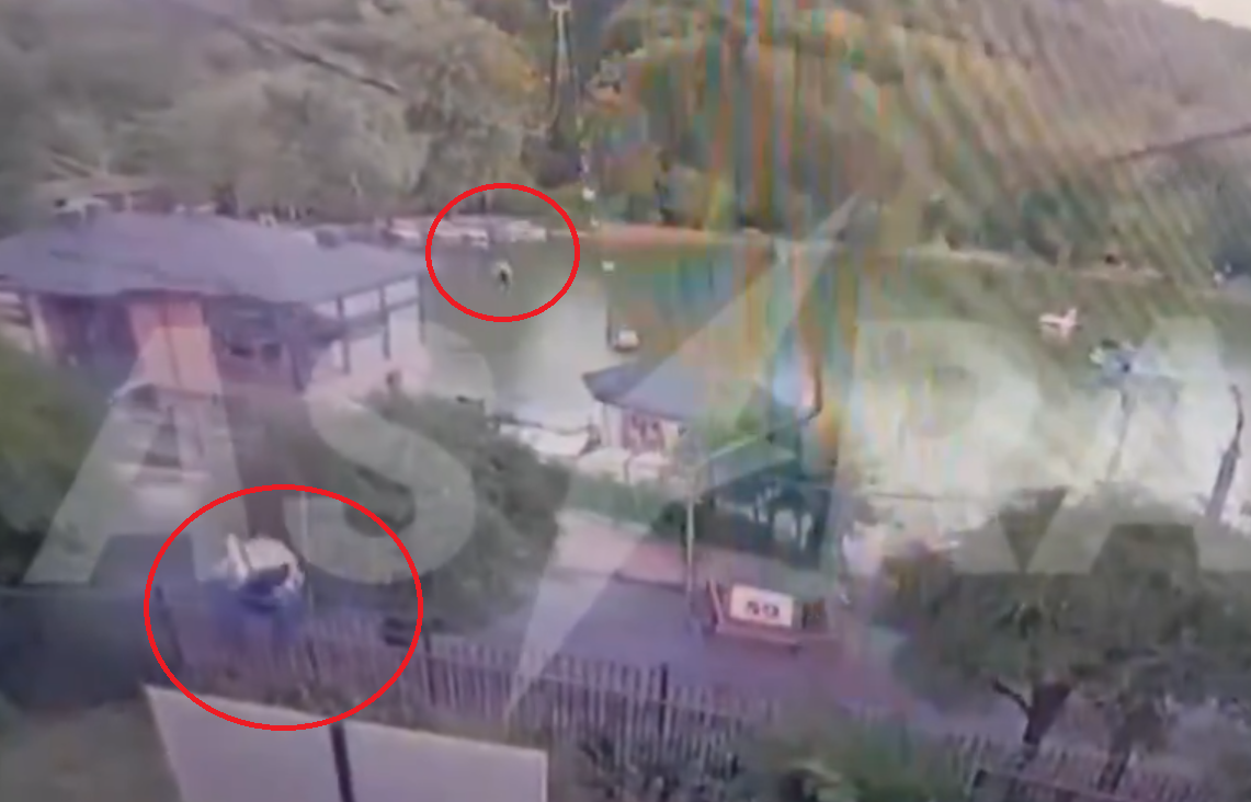 吊椅纜繩斷裂7米高直墮 十多人摔落樹叢湖面8人受傷(有片)