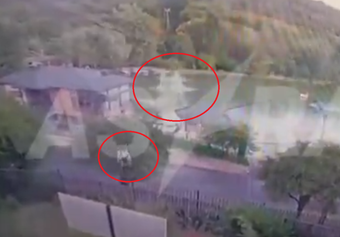 吊椅纜繩斷裂7米高直墮 十多人摔落樹叢湖面8人受傷(有片)