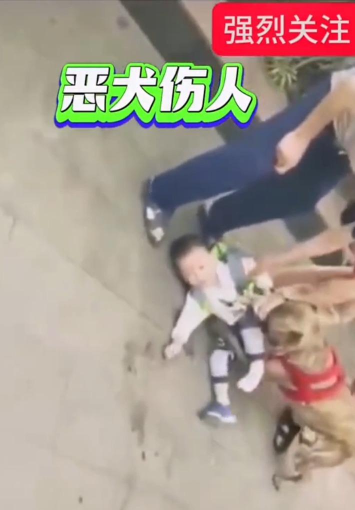 6歲童面露驚恐與無助。(影片截圖)