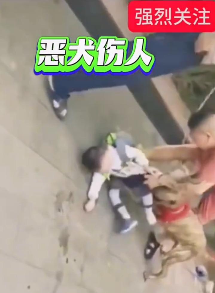 6歲童下體嚴重撕裂傷。(影片截圖)