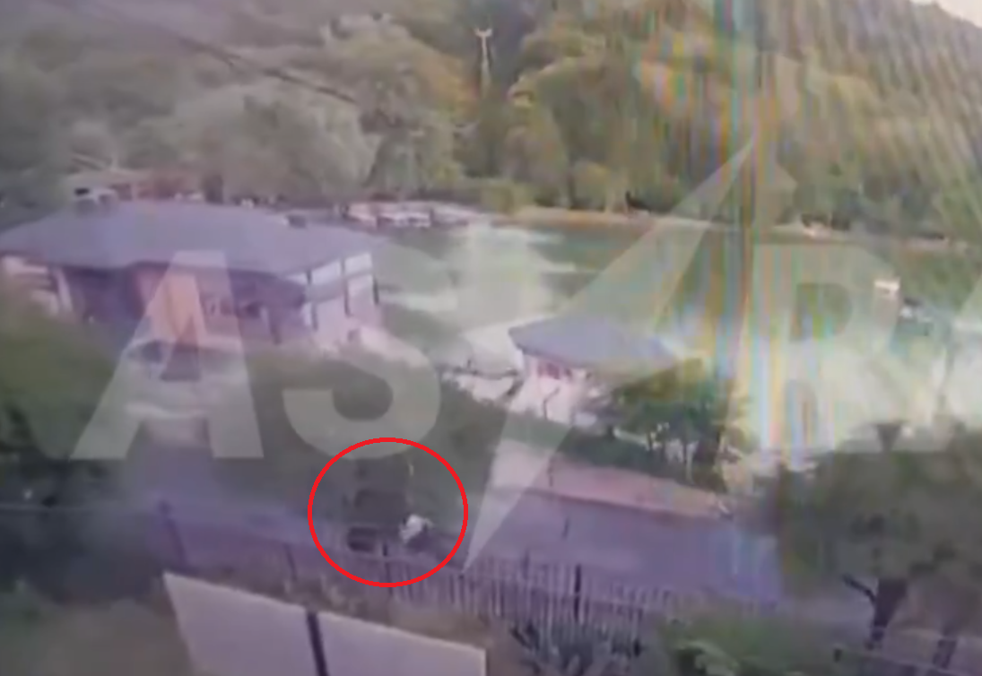 吊椅纜繩斷裂7米高直墮 十多人摔落樹叢湖面8人受傷(有片)