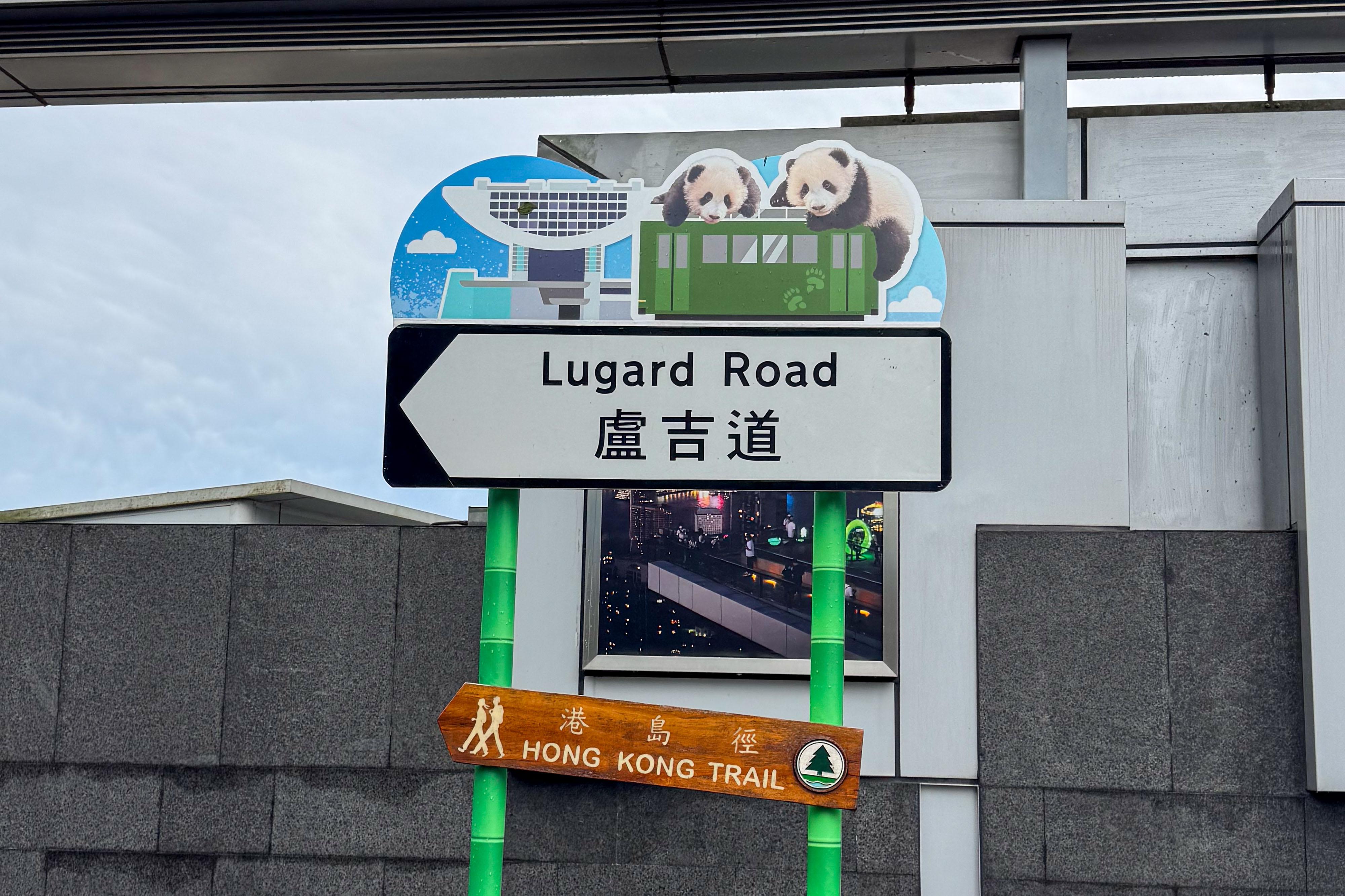 全港32條旅遊熱門街道換上大熊貓主題路牌