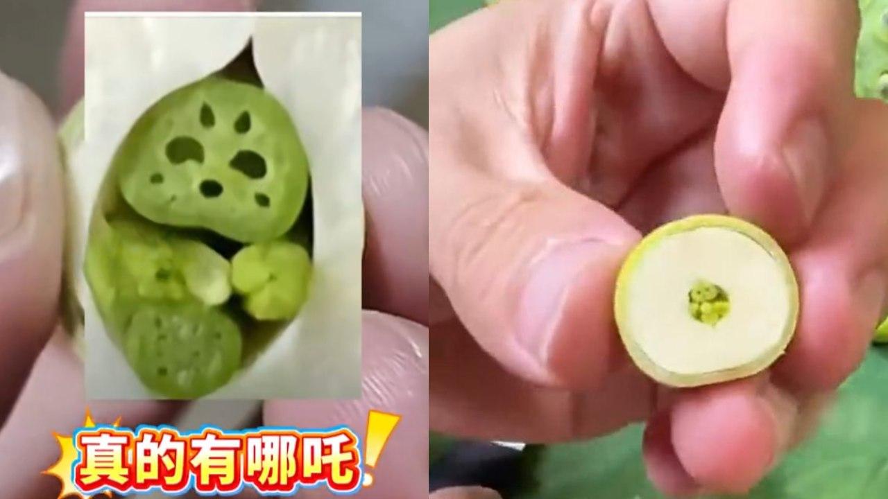 蓮子切開有哪吒仲會畀心心?植物學家還原真相
