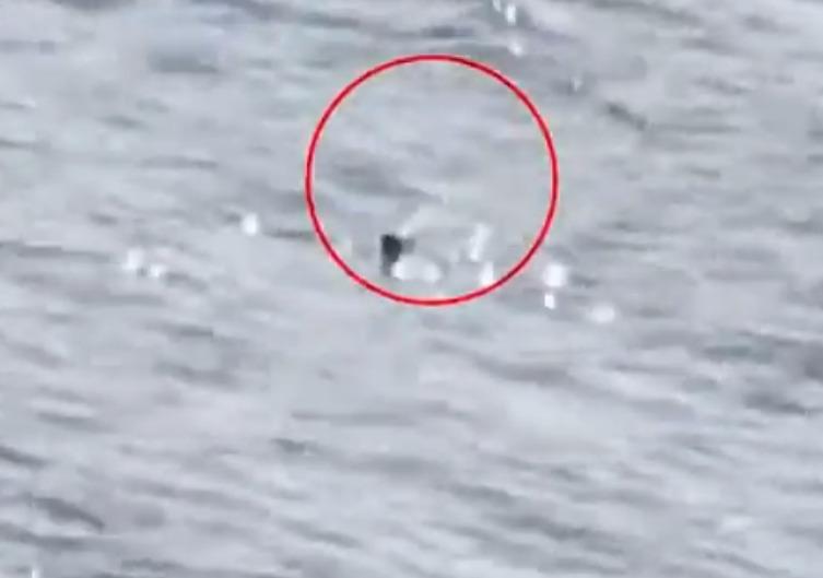 尼斯湖湖面,有一件物件浮出水面。