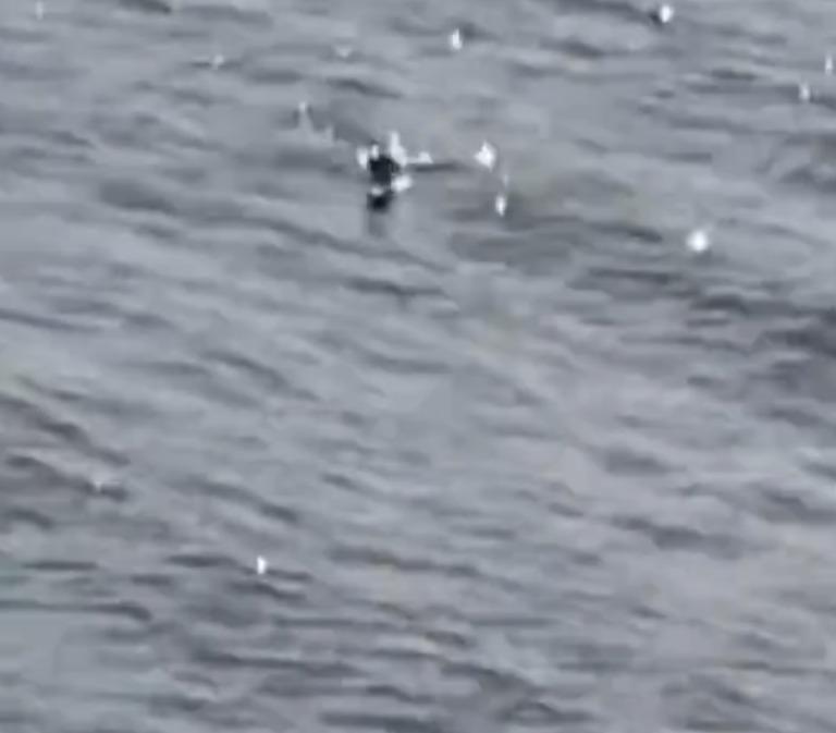 尼斯湖疑似「水怪」影片,由遊客Livia拍下。