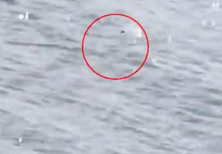 尼斯湖湖面,有一件物件浮出水面後又沉下去。