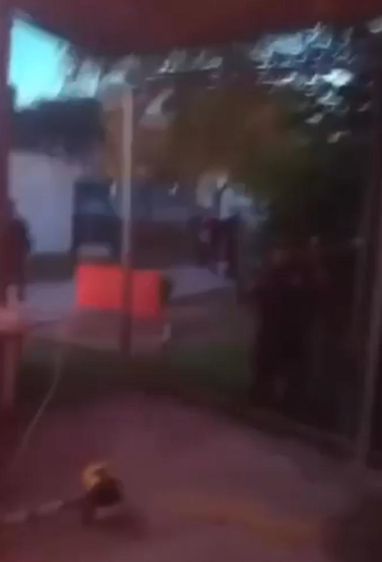 墨西哥韋拉克魯斯州圖斯潘市(Tuxpan)監獄爆發暴動,7名囚犯死亡、11人受傷。(影片截圖)