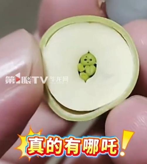 植物學家指出,蓮子橫切面是蓮子胚芽(胚軸)在生長過程中自然捲曲所形成的特殊紋路。(微博)