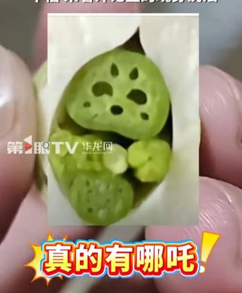 植物學家指出因切面角度和胚芽發育程度的差異,部分蓮子會呈現類人形圖案。