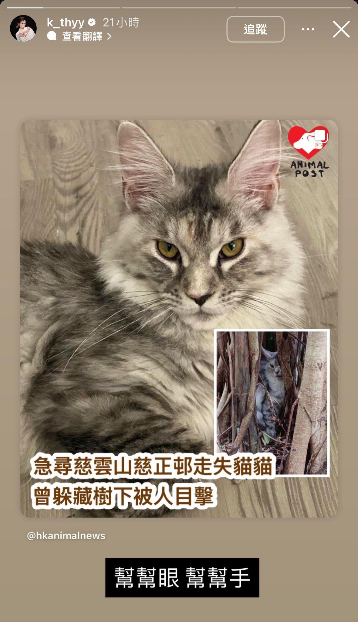Kathy仔在IG幫手轉發尋貓啟示,充滿愛心。