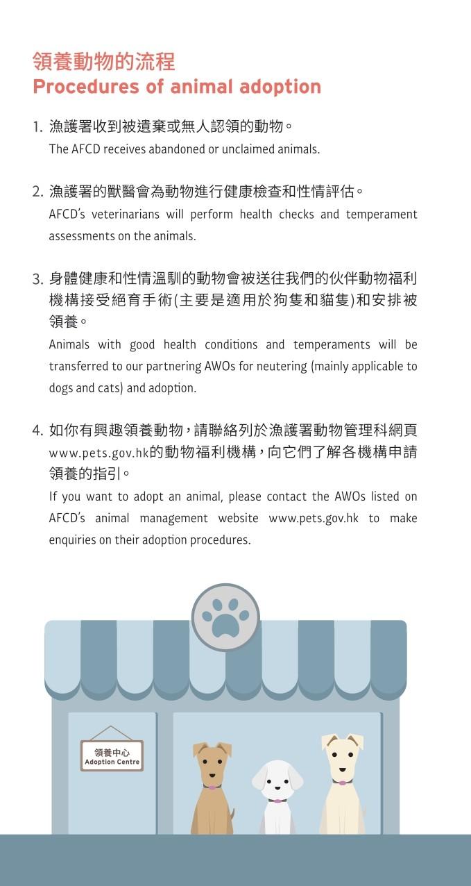 領養寵物|領養動物流程(漁護署)