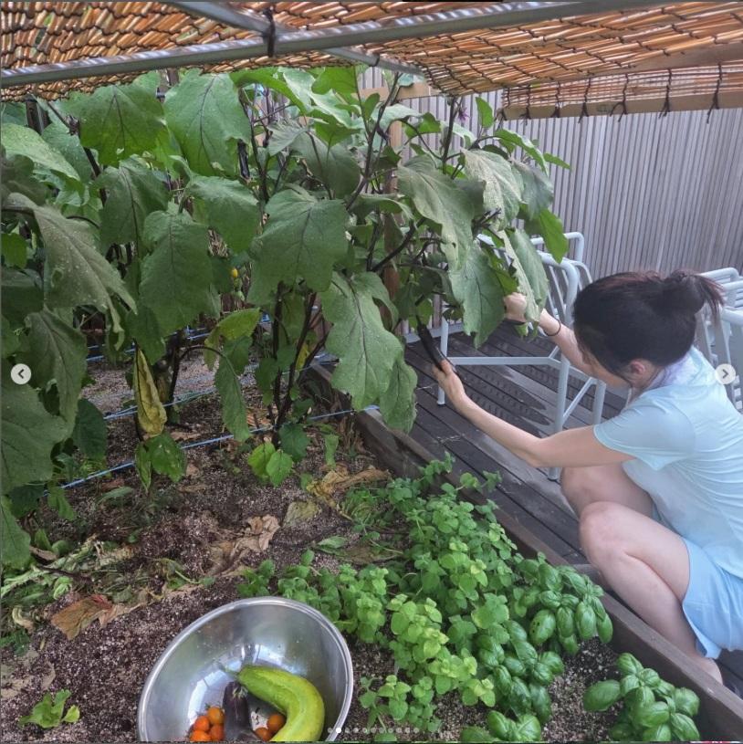 李英愛在自己的家,擁有小農田種植新鮮蔬果。
