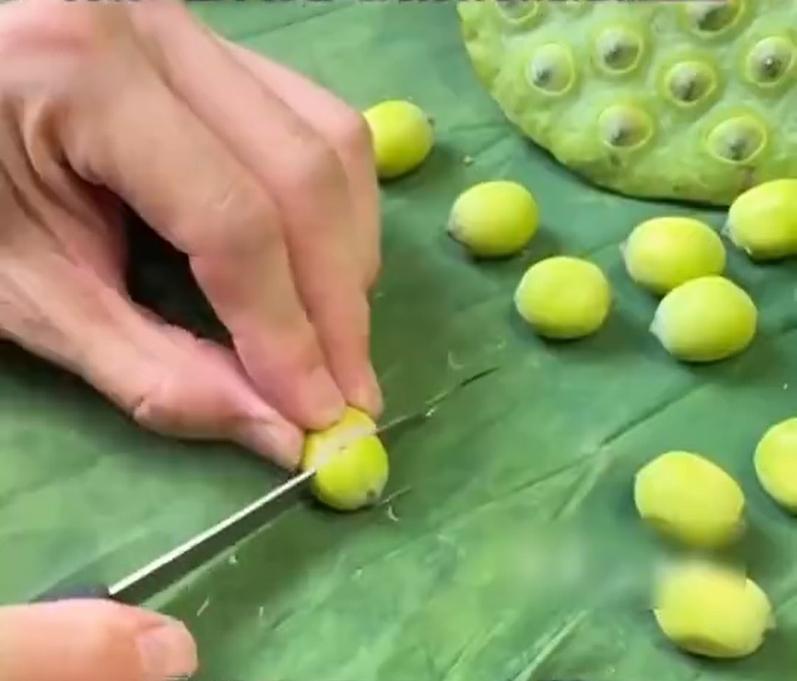 網傳「蓮子藏哪吒」,山東女子日前切開蓮子驗證。(微博)