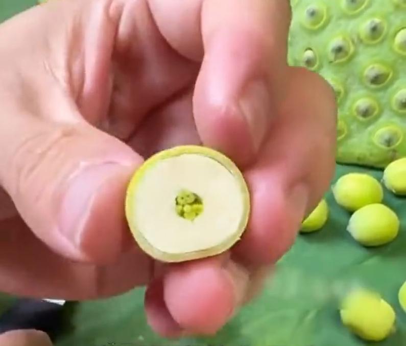 切開蓮子,果然發現「舉手小人」還有類似畀心姿態。(微博)