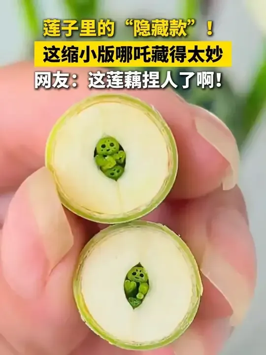 網民指蓮子切面像縮小版哪吒。(微博)