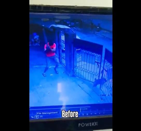 流浪狗被暴打,最後衝出閘門逃走。(互聯網)