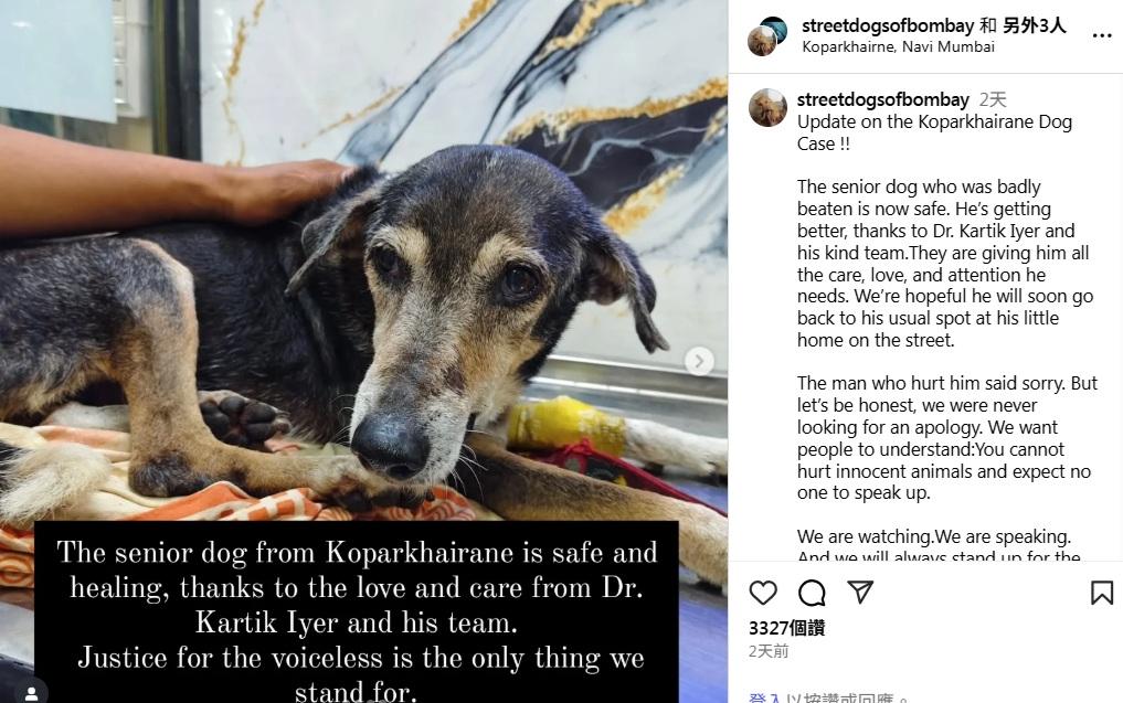 動保組織在IG發文,表示受虐流浪狗已被帶到安全地方,接受治療後情況好轉。(互聯網)