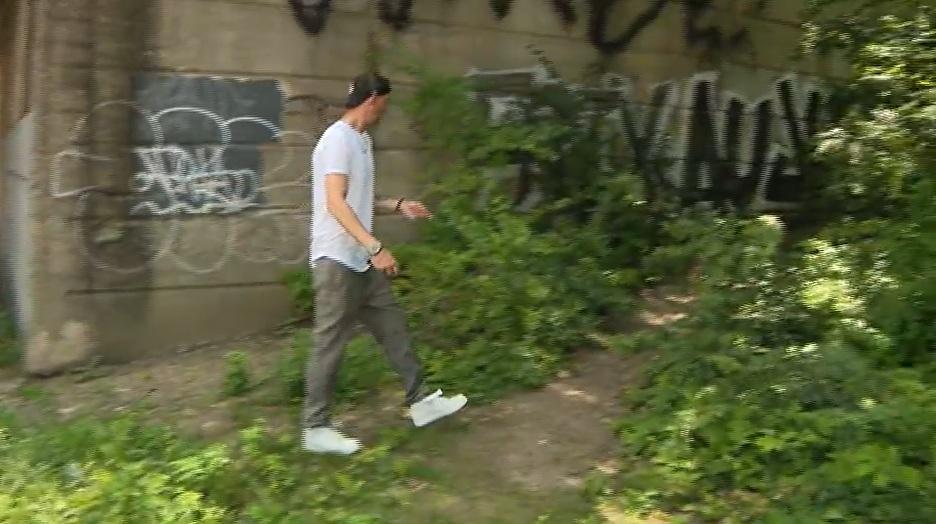 泰恩斯說,狗狗當日帶領他進樹林救人。(互聯網)