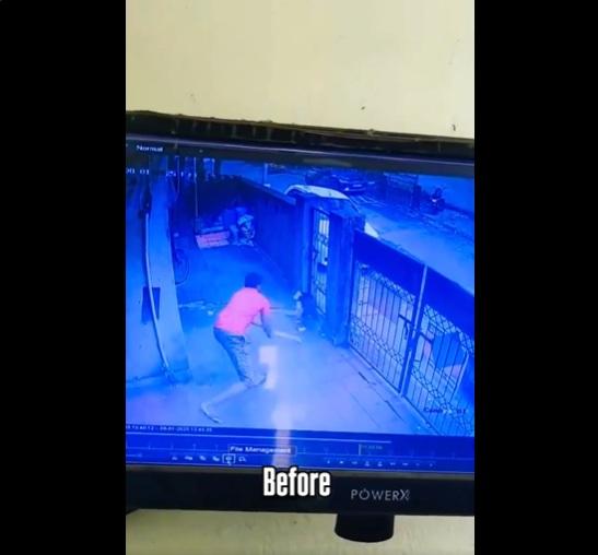 男子追著流浪狗來打。(互聯網)