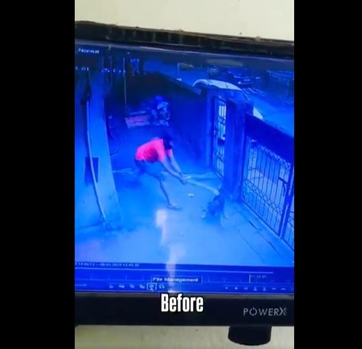 男子追著流浪狗來打。(互聯網)