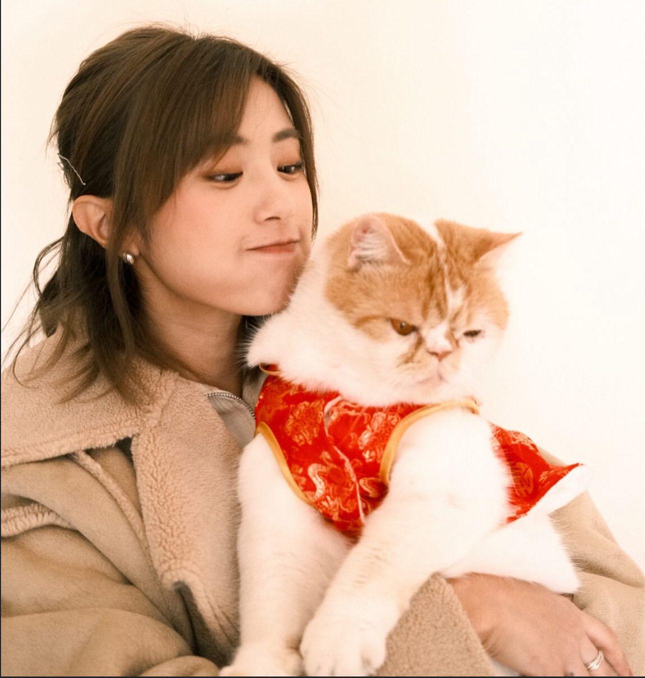 Kathy仔出名是愛貓之人,跟Dixon同樣喜歡小動物。