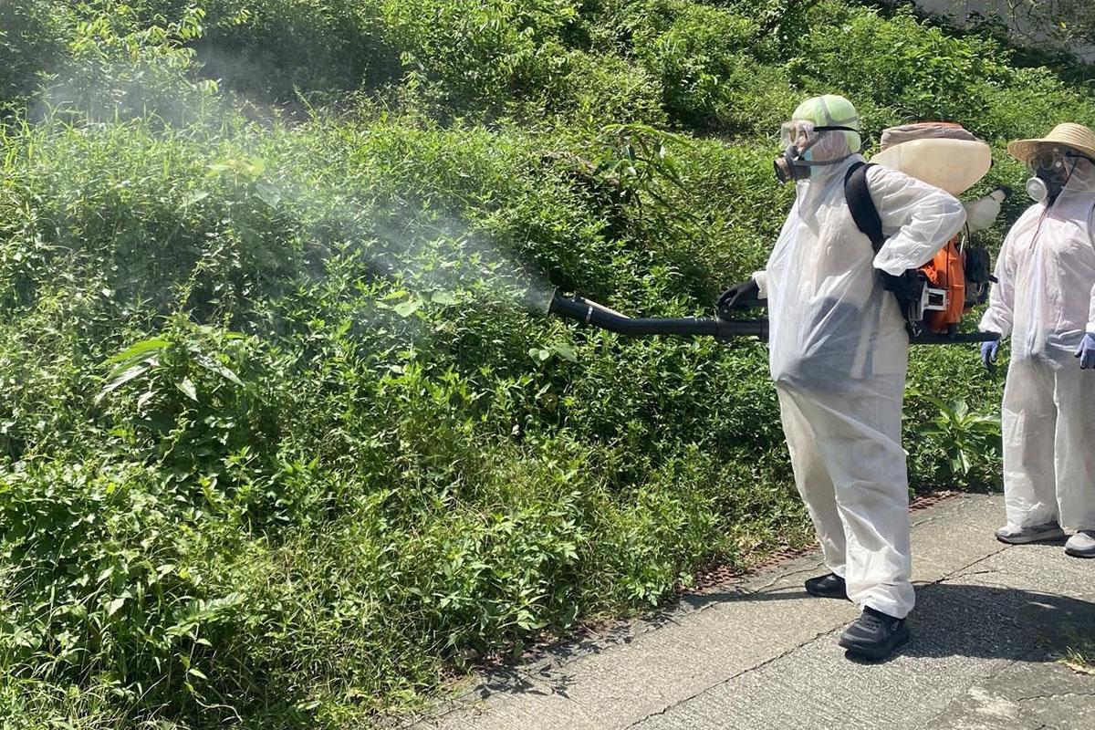 政府近日加強控蚊滅蚊工作。(資料圖片/政府新聞處)