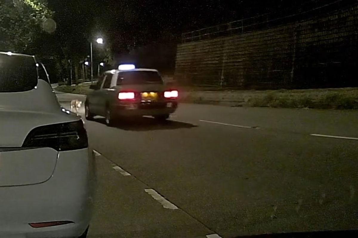 汀角路有野豬被新界的士撞倒並輾過。(網民Oscar Chan@FB群組「車cam L(香港群組)」)