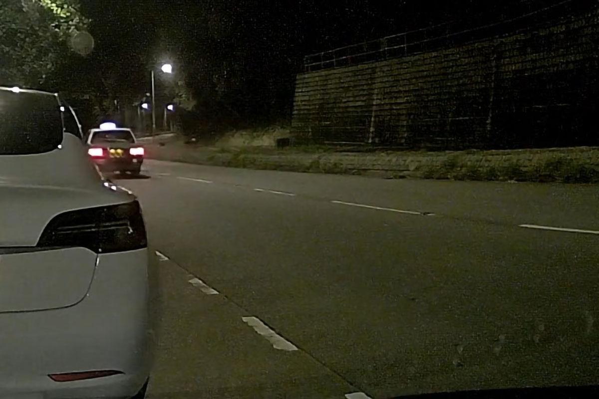 汀角路有野豬被新界的士撞倒並輾過。(網民Oscar Chan@FB群組「車cam L(香港群組)」)