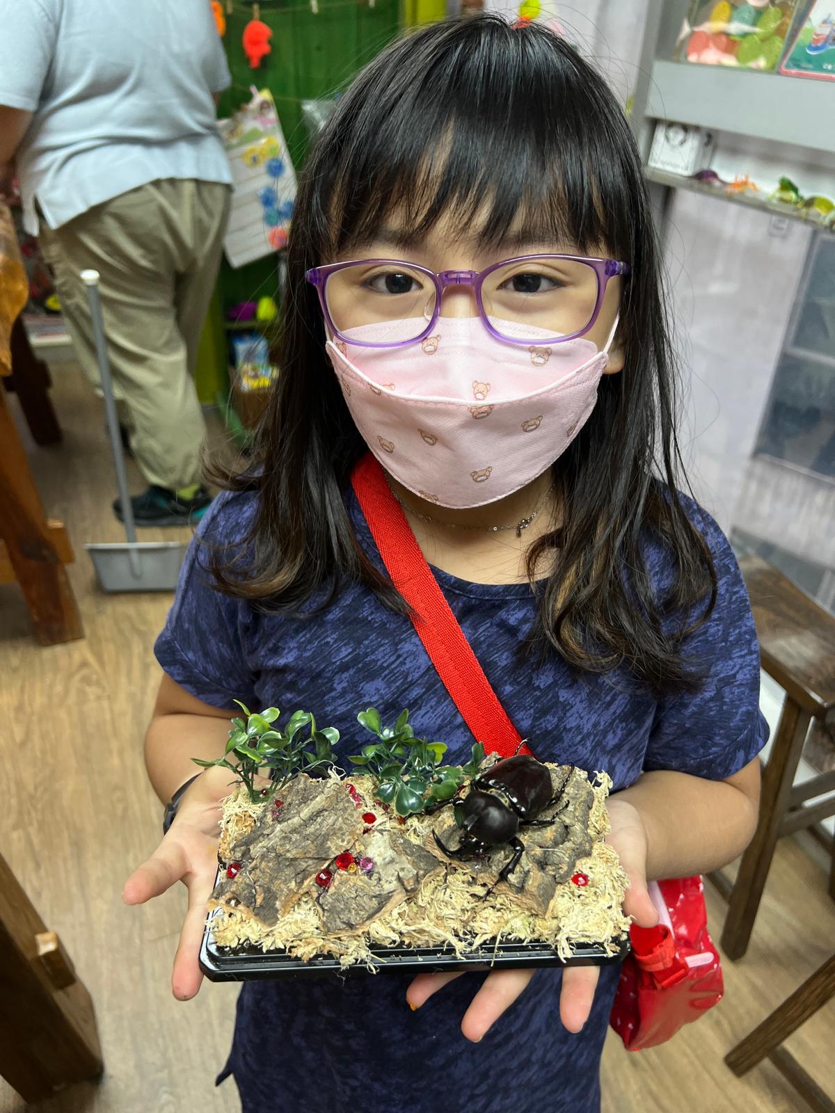 親手為甲蟲設計適合棲息的微型生境