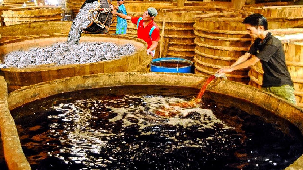 魚油在高溫精製過程中,可能生成兩種具潛在健康風險的物質:縮水甘油脂肪酸酯(GEs)與 3-單氯丙二醇(3-MCPD)。