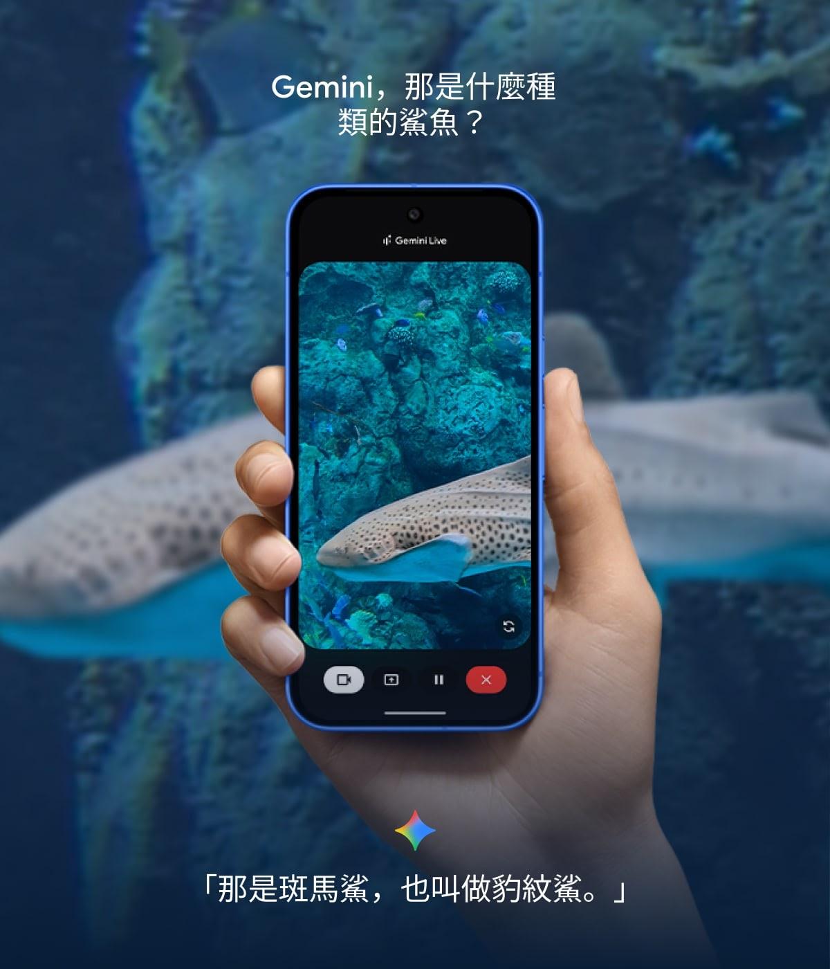 Google Pixel 10系列內置Gemini AI助手。