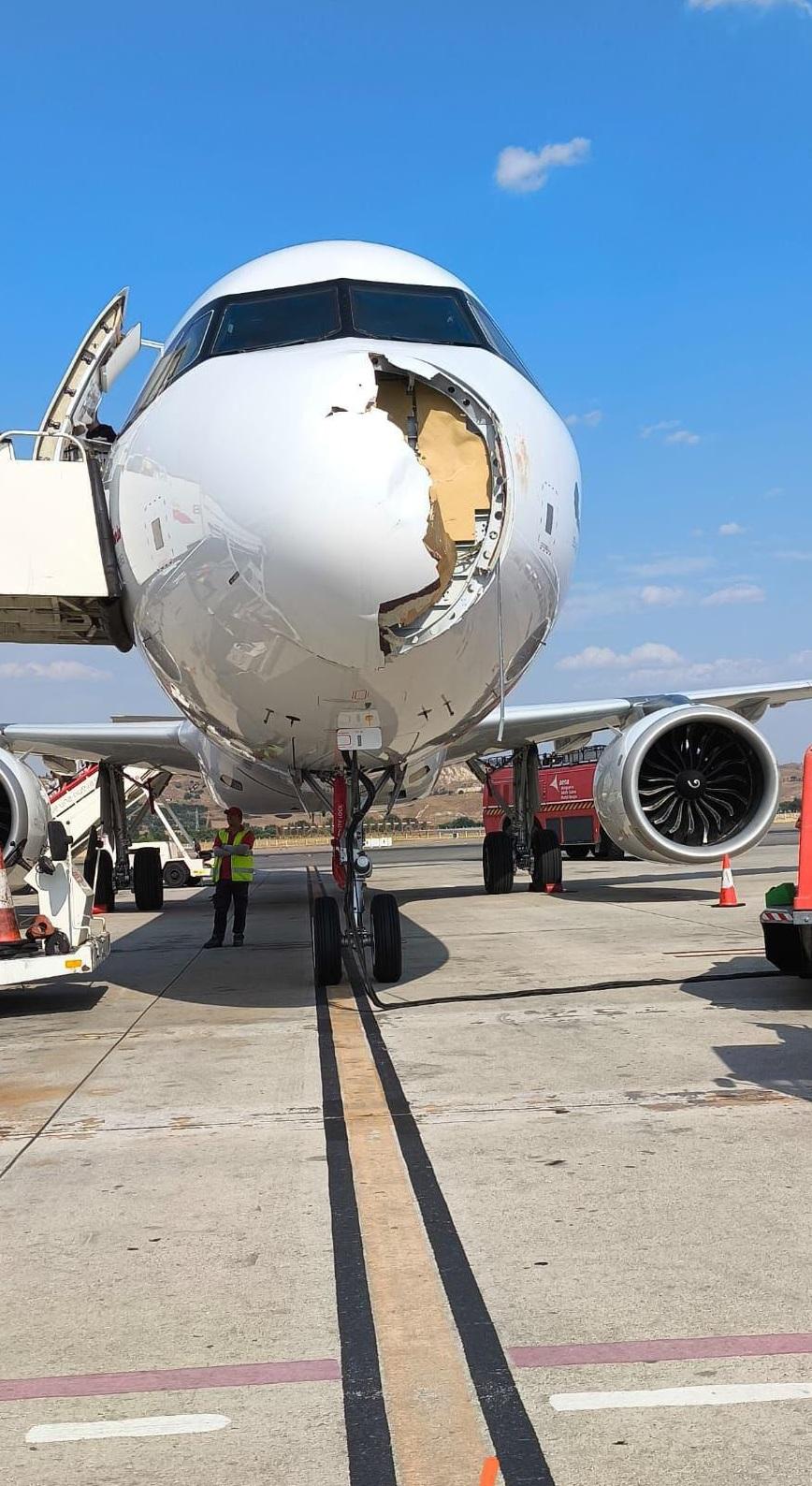 客機遭大鳥撞毀機頭。(互聯網)