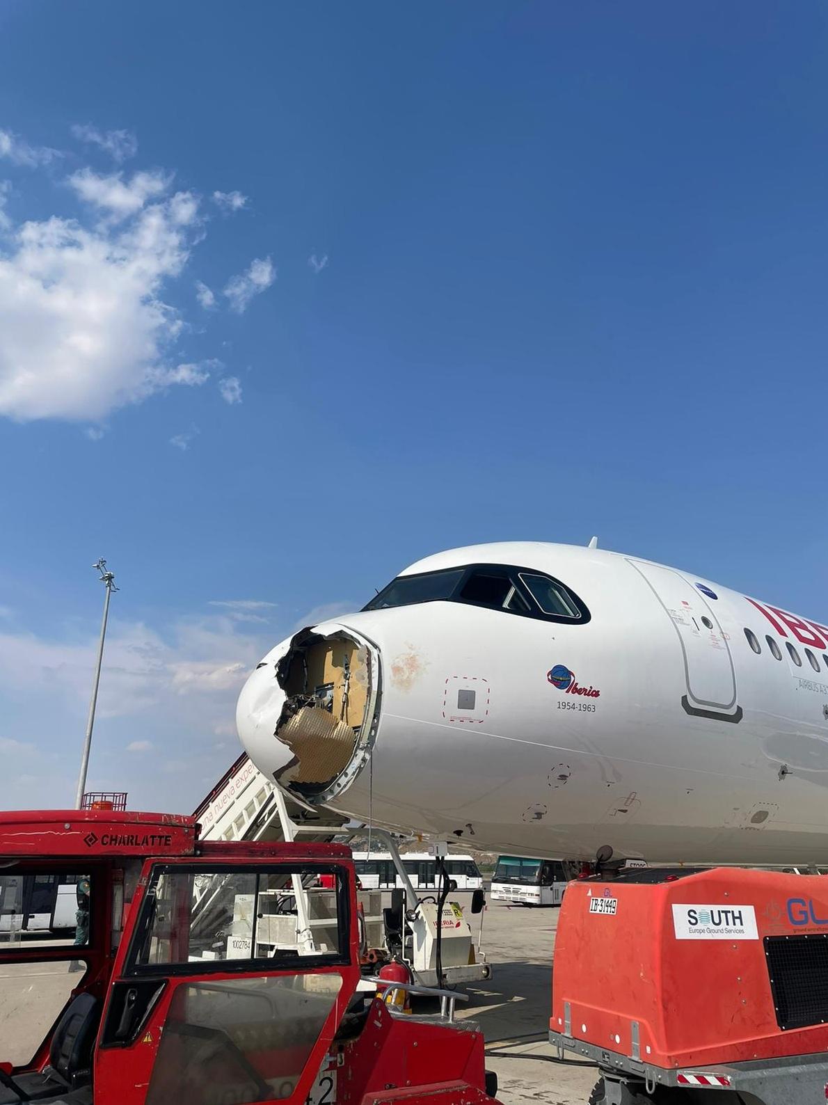 客機遭大鳥撞毀機頭。(互聯網)