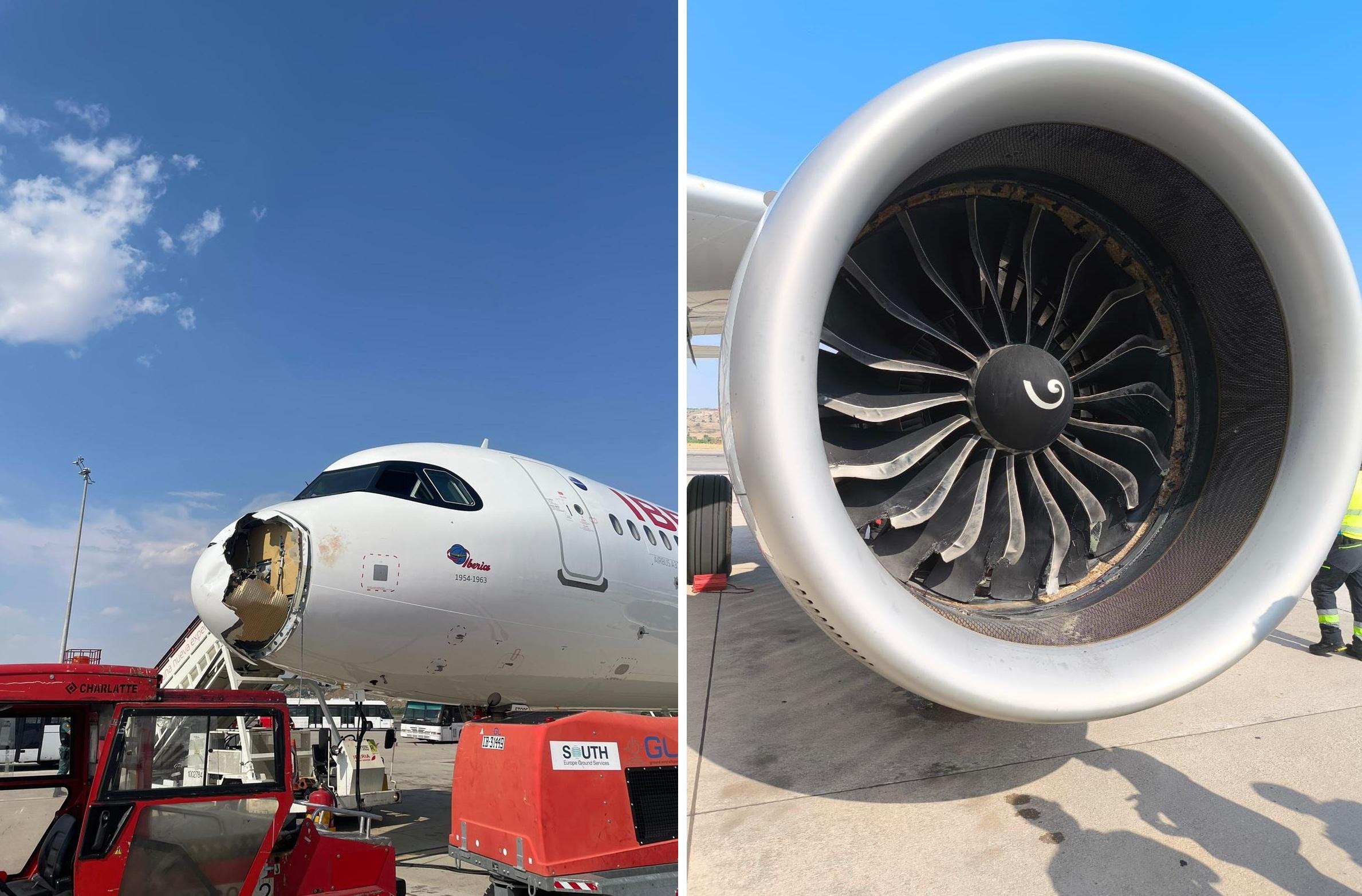 客機遭大鳥撞毀機頭,引擎吸入野鳥,同樣損毀。(互聯網)