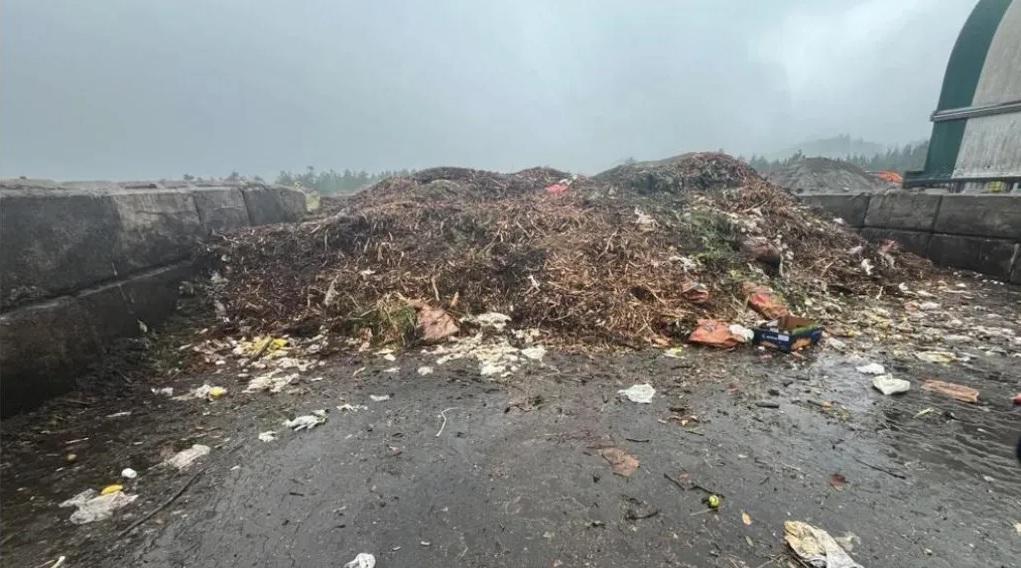 史蒂夫當日在巨大垃圾堆中找到丟失的兩枚婚戒。(互聯網)