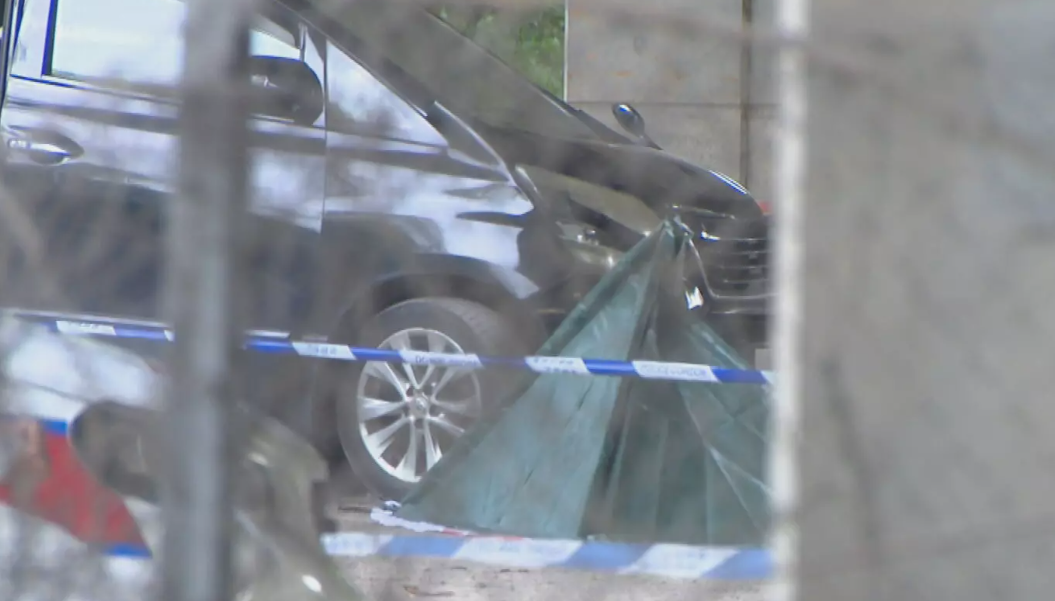 屯門亦園路謀殺案,一名51歲本地男子被發現倒斃橋底,後腦有刀傷(有線新聞截圖)