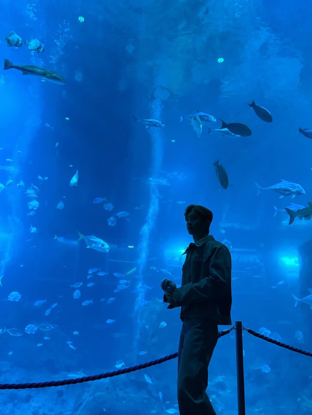 Anson Lo盡力克服怕魚陰影,挑戰跟魚合照。