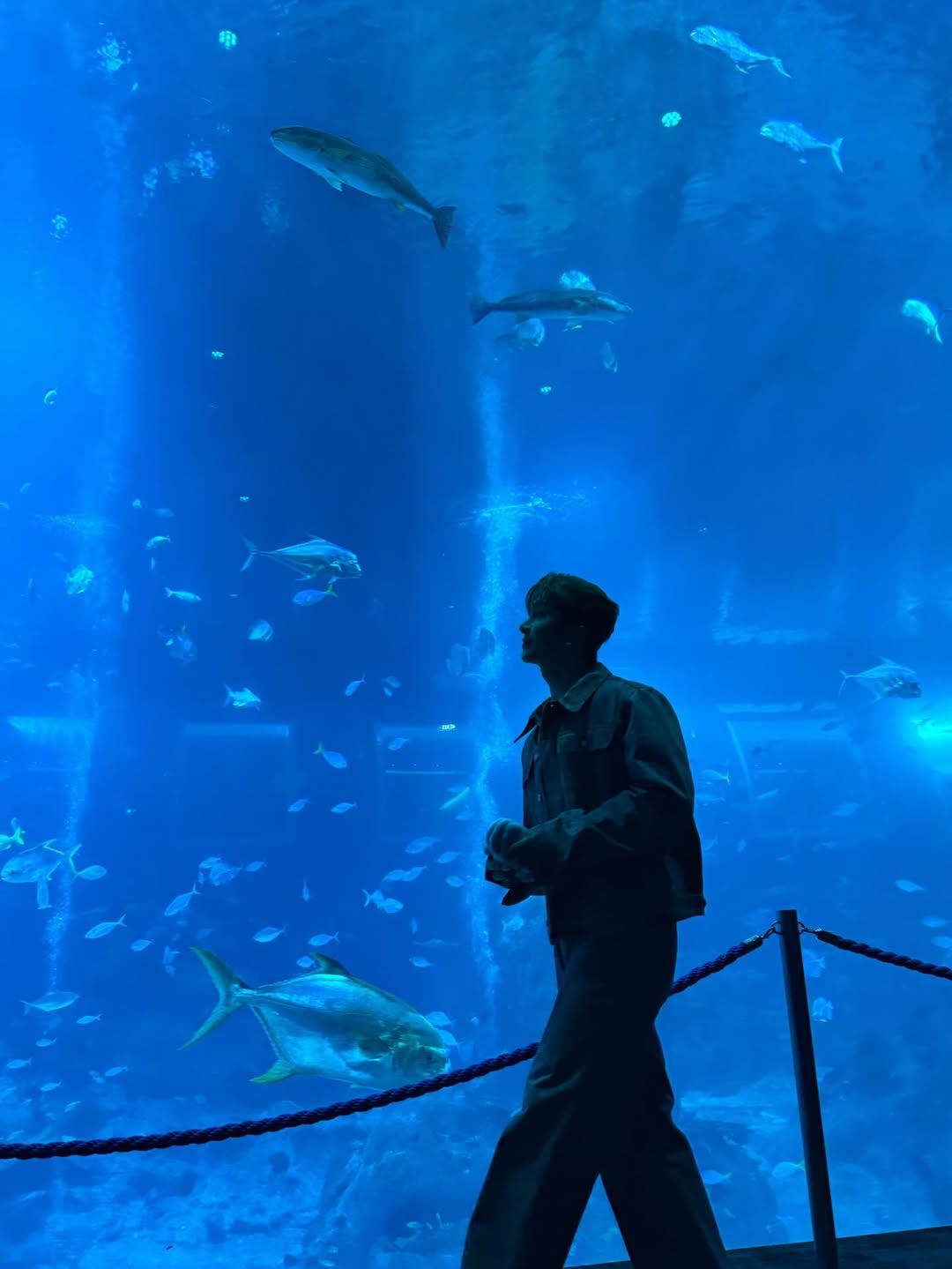 Anson Lo盡力克服怕魚陰影,挑戰跟魚合照。